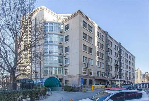 餐厅植物出租免费设计养护