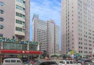 DNA病毒测序进化分析